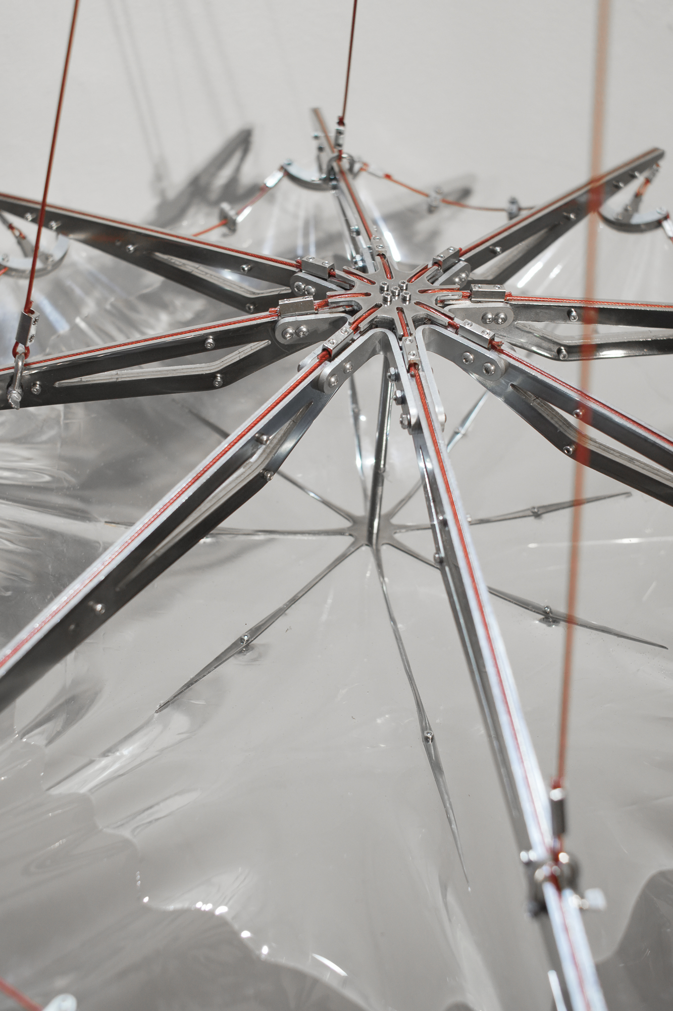 N☒N_L☒CAL_ — view 10