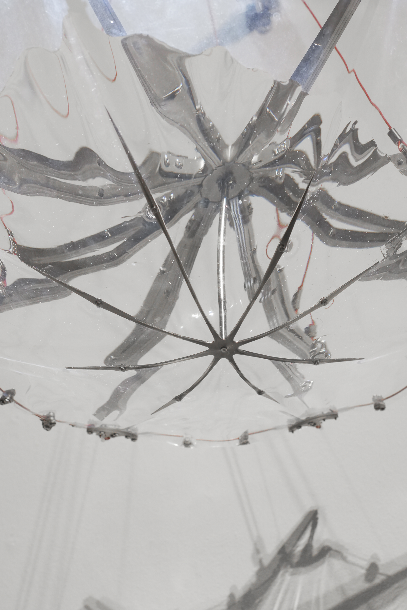 N☒N_L☒CAL_ — view 16