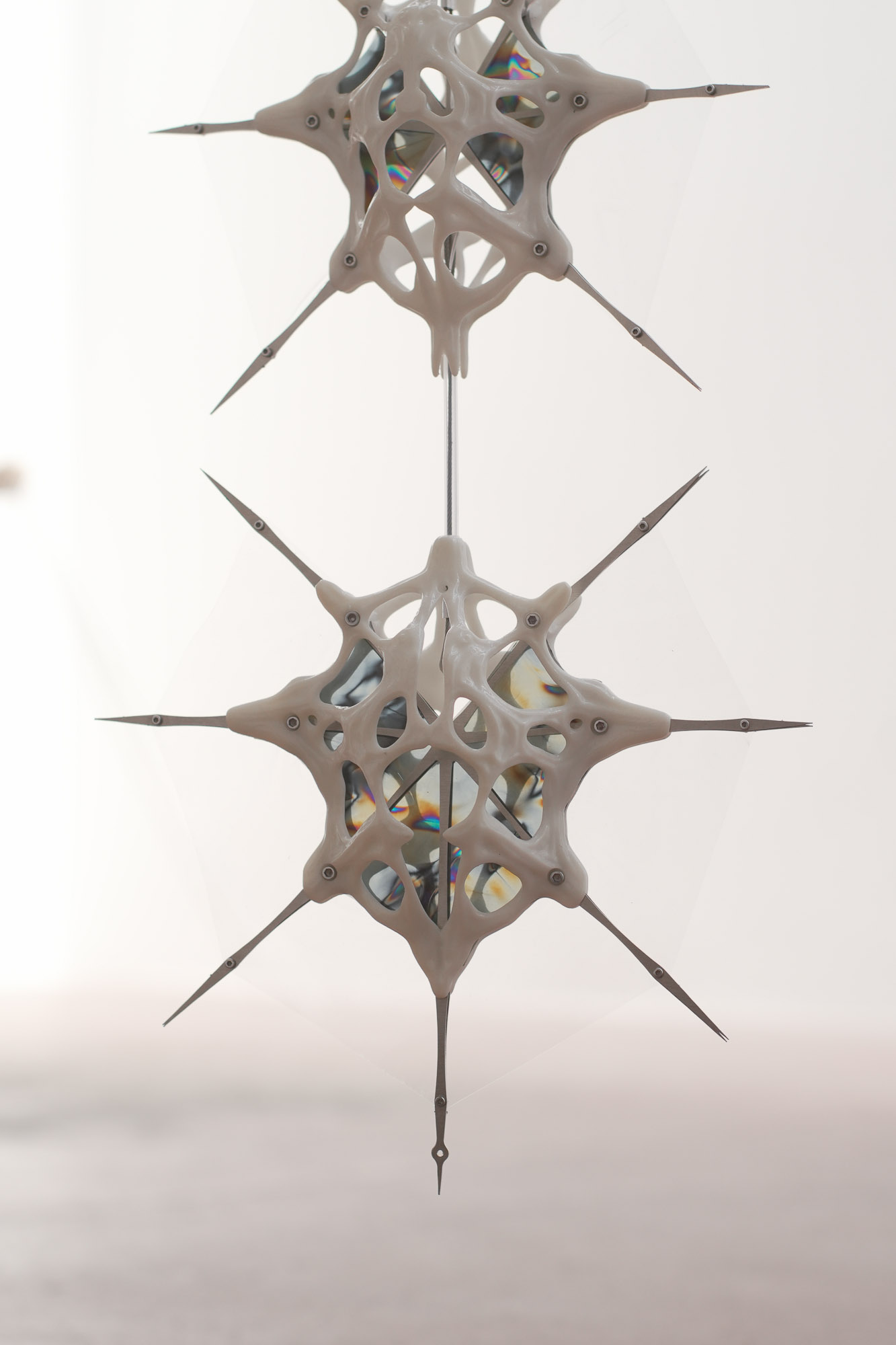 Phoretic sculpture detail