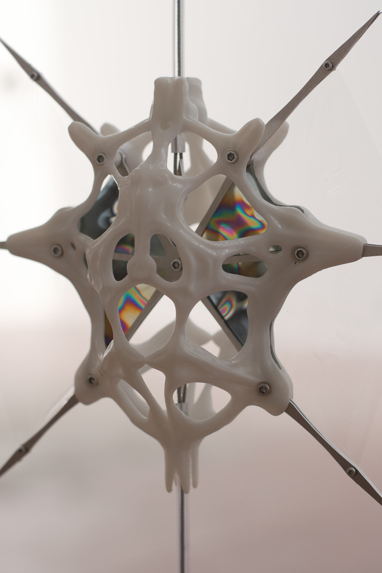 Phoretic sculpture detail 2