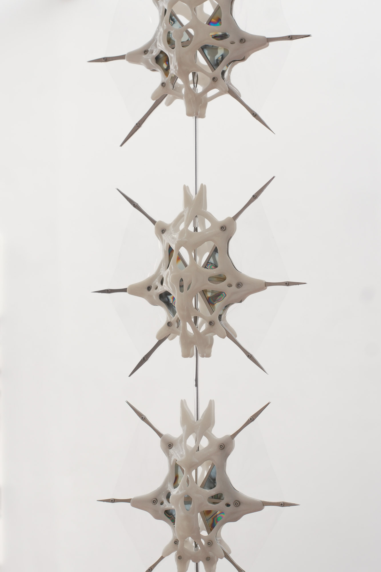 Phoretic sculpture detail 4