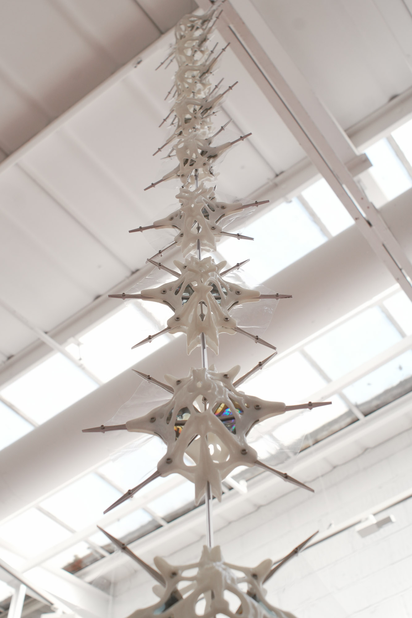 Phoretic sculpture detail 5