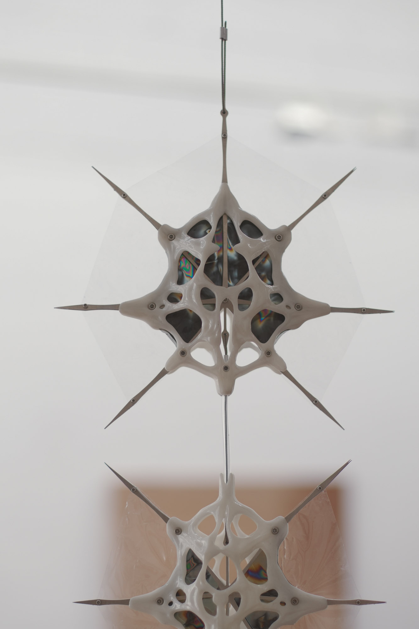 Phoretic sculpture detail 6