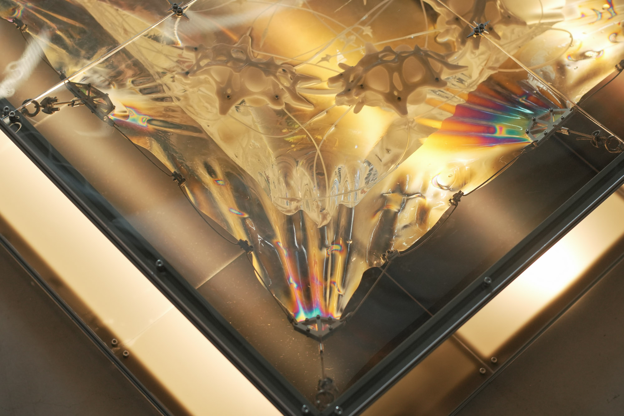 Wetmesh II — view 1