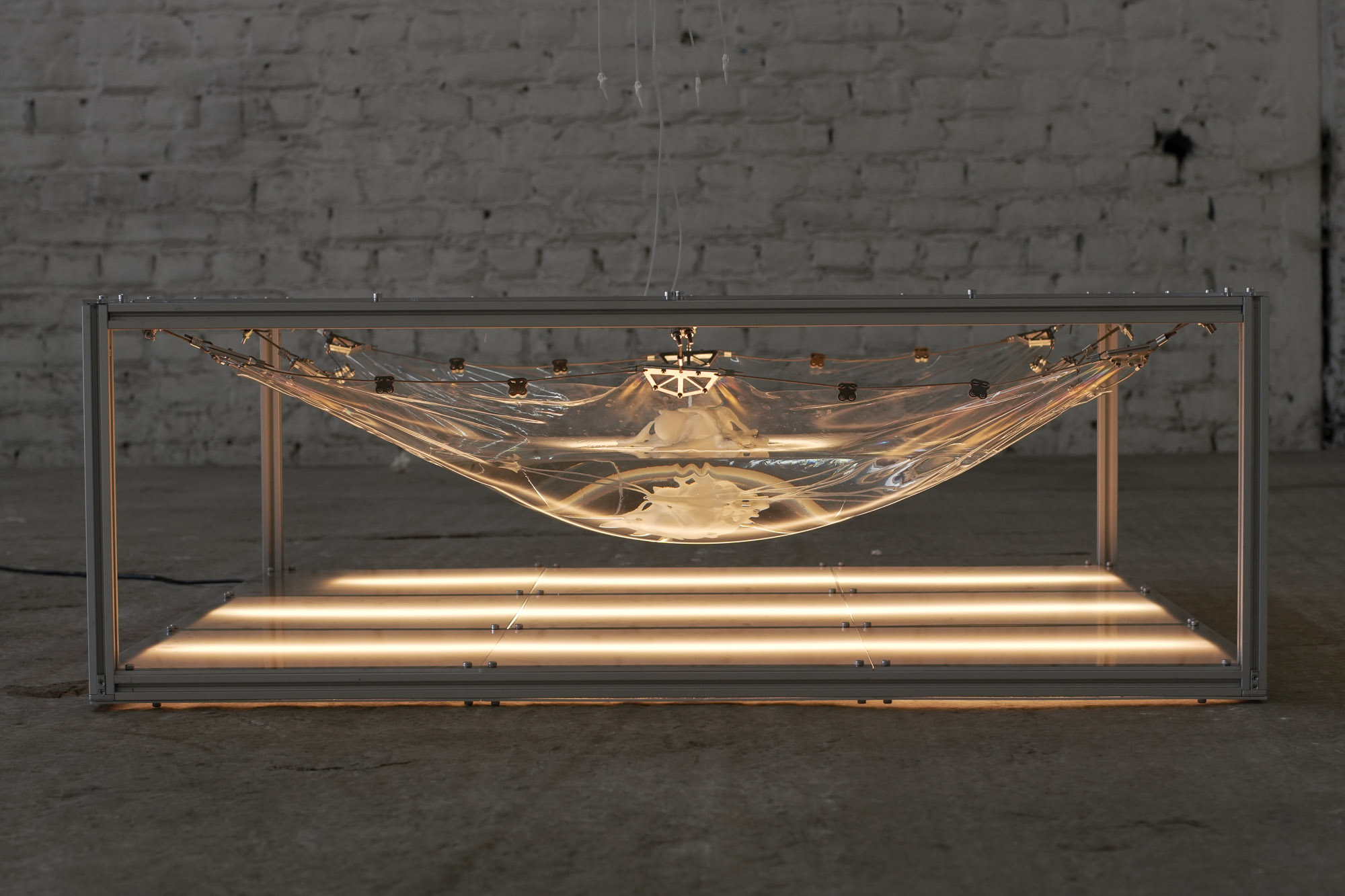 Wetmesh II — view 12