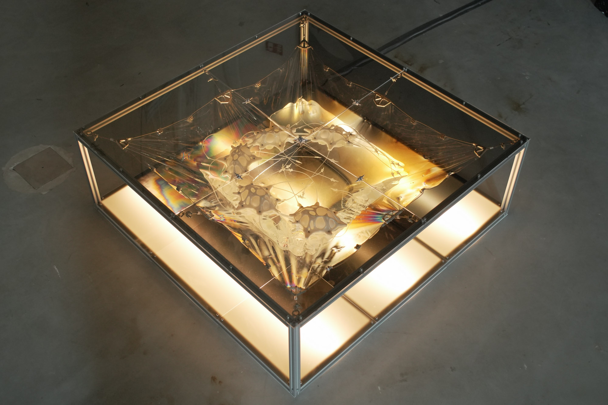 Wetmesh II — view 2