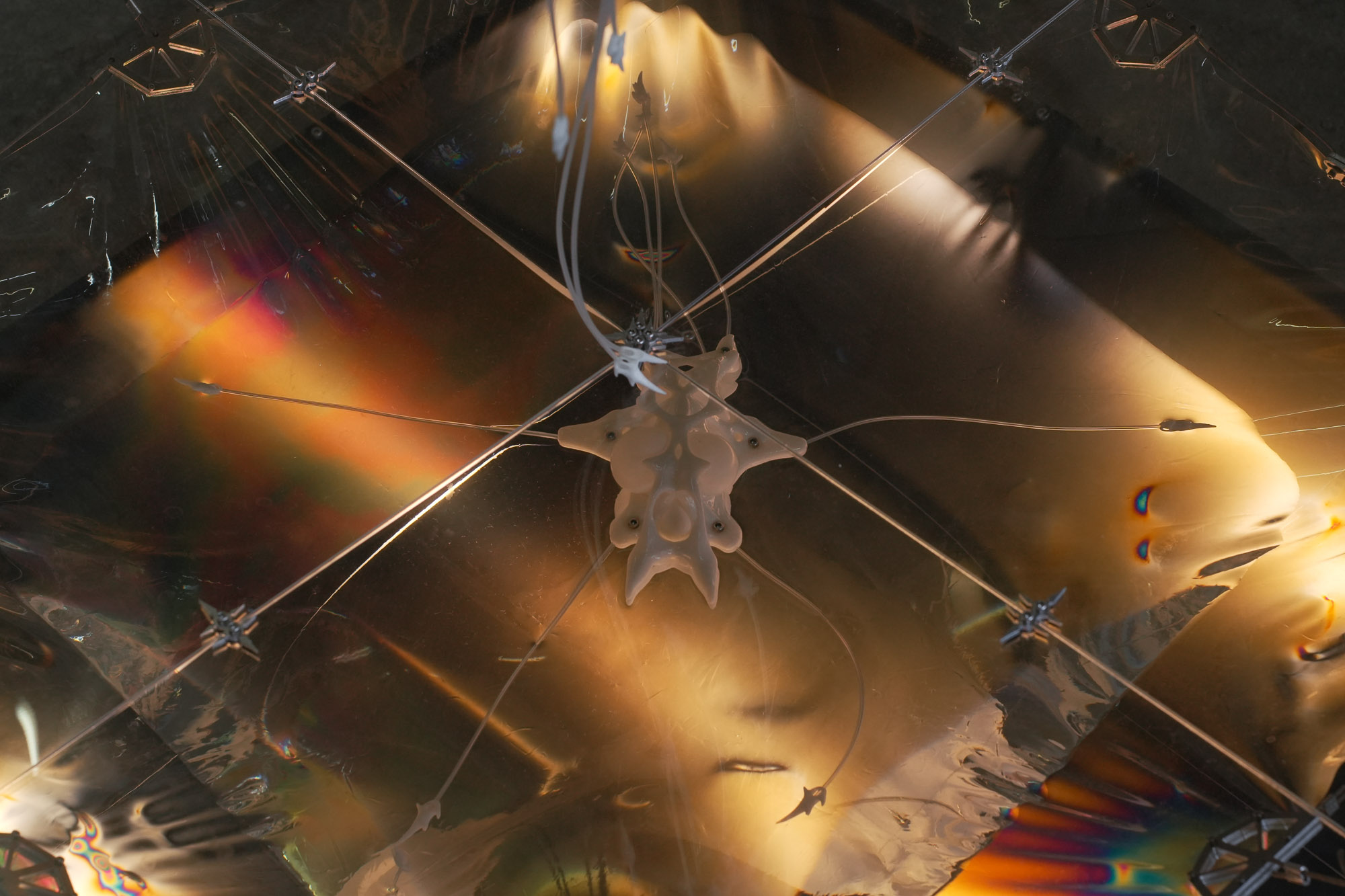 Wetmesh II — view 9